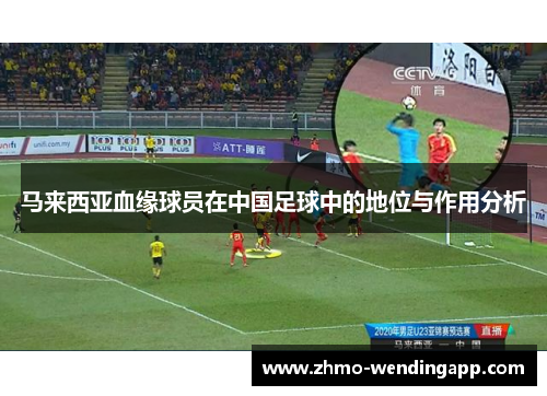 马来西亚血缘球员在中国足球中的地位与作用分析
